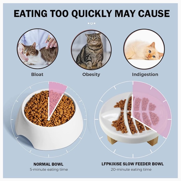 White Ceramic Fishbone Raised Slow Feeder Cat Bowl - Picture 8 of 9